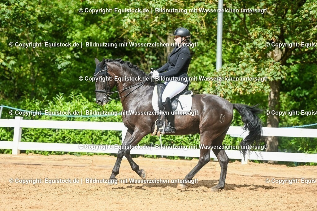 20230716_01_Dressurprüfung Kl.M_0581 | equistock