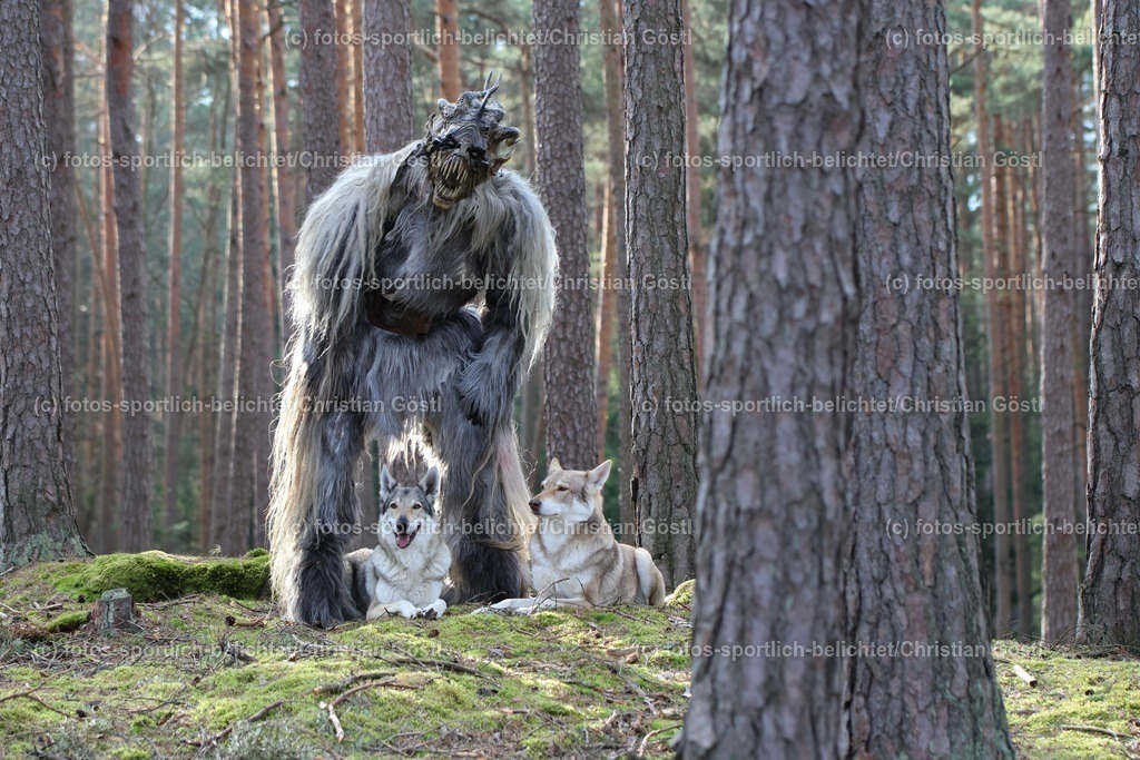 2X5A3411 | fotos-sportlich-belichtet - Realisiert mit Pictrs.com