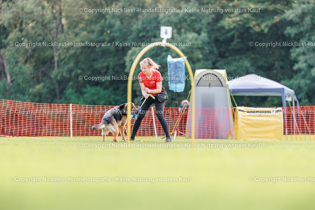 BSP Hoopers-H2-2026-Nickbest-Hundefotografie-TuS Komet Arsten e.V.-6873 | Dein Hund! Dein Moment! Deine Erinnerungen! Hundefotografie in Bremen Blumenthal. Ich fange die besonderen Momente deines Vierbeiners ein – ob Indoor mit Blitzanlage oder in der freien Natur. Sicher dir dein Moment und dein Termin für eure Erinnerungen.