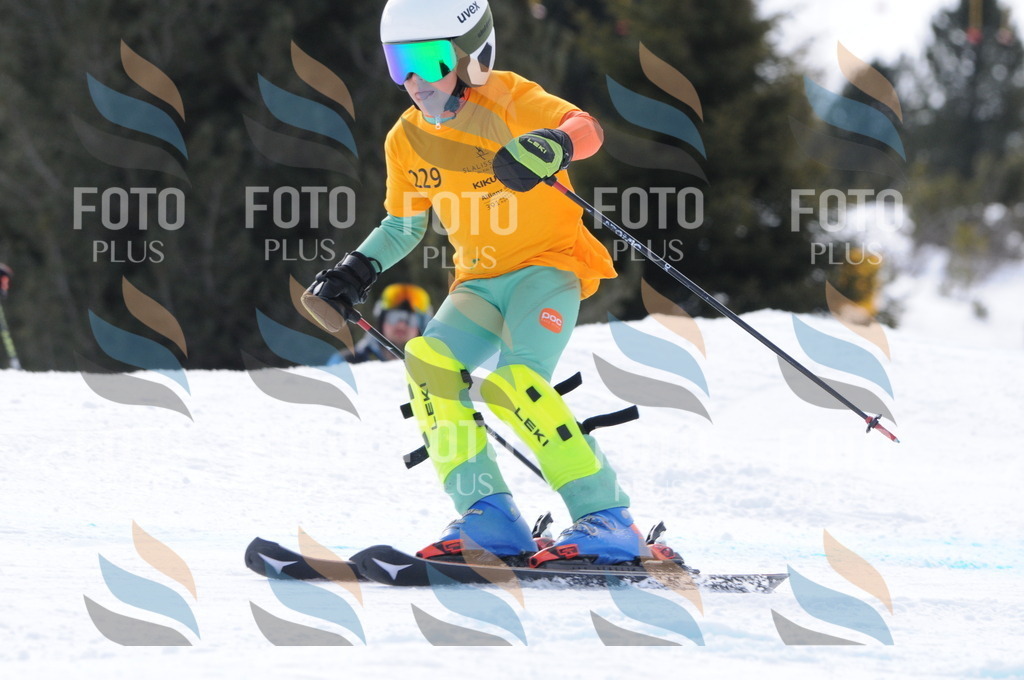 C7660 | holidayphoto