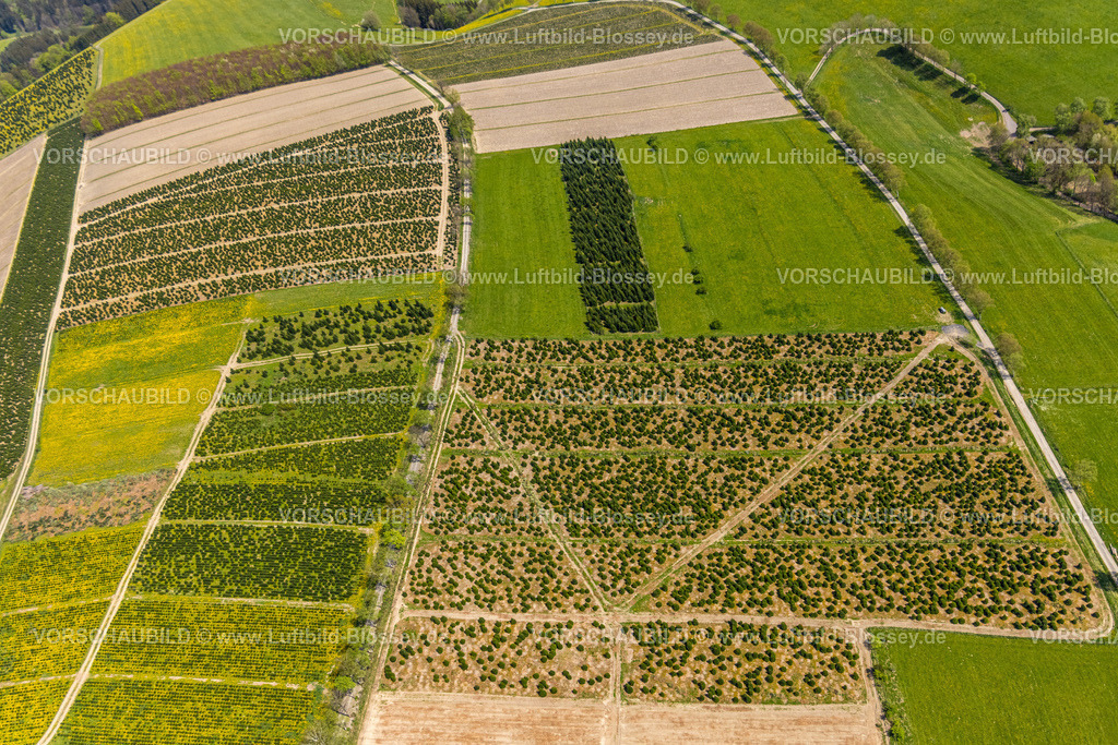 Schmallenberg240505629 | Luftbild, Waldschonung Birkenweg, Strukturen und Muster, Formen und Farben, Westfeld, Schmallenberg, Sauerland, Nordrhein-Westfalen, Deutschland