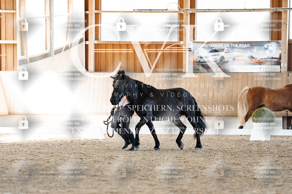 CK906534 | Turnierfotografie Pferdefotografie Trier Rheinland-Pfalz Pferdesport Reitsport Tierfotografie Sportfotografie Pferdevideo Pferdevideografie Equestrianvideography equestrianphotography  - Realisiert mit Pictrs.com