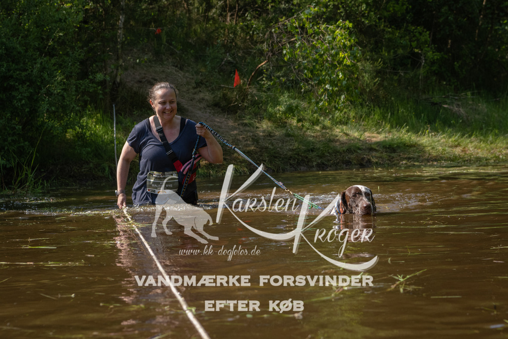 1617DKK993836 | kk-dogfotos