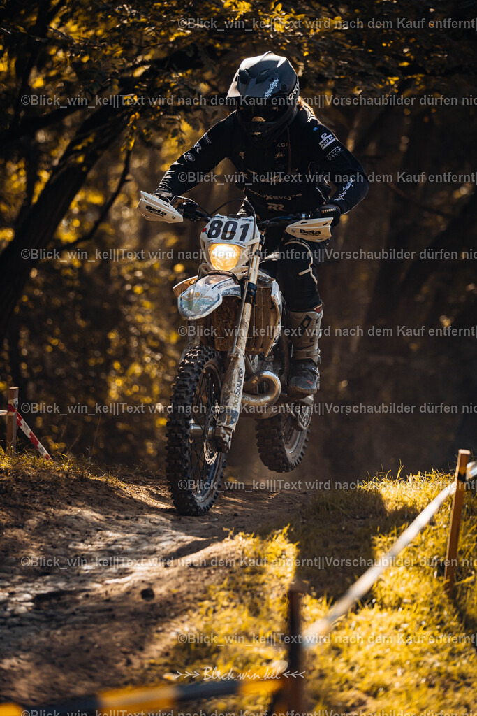 E68A6759 | blick_win_kel