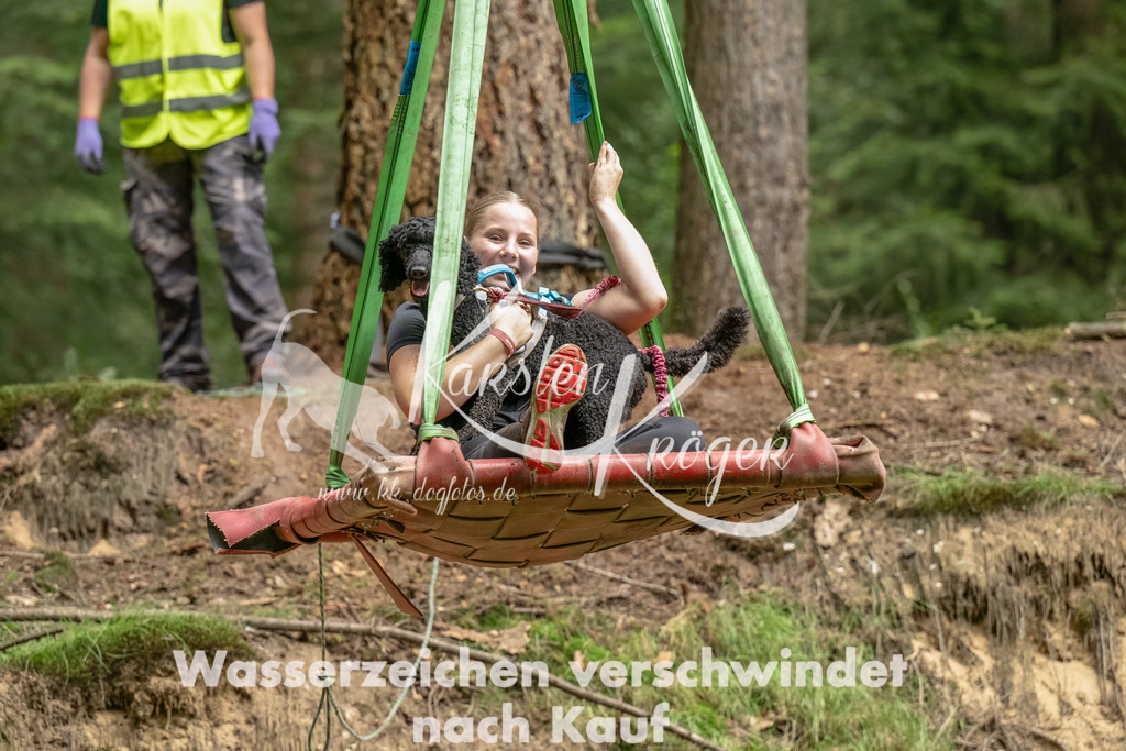 1300_ZZ91914-Bearbeitet | kk-dogfotos