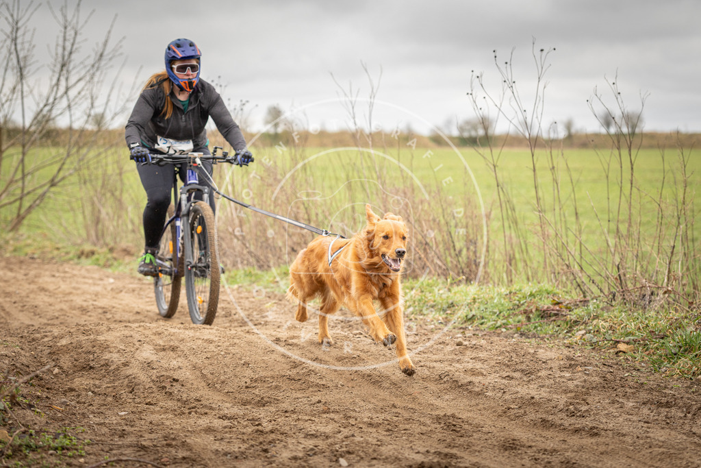 DV3A0993 | Hundefotografie, Tierfotograf, Pfotenfotografie, Fotoshooting Hund, Hunde Portrait, Hundesport, Hundeportraits, Heideshooting, Hunde, Sportfotograf, Hundefotograf, Turnierhundsport, THS,  - Realisiert mit Pictrs.com