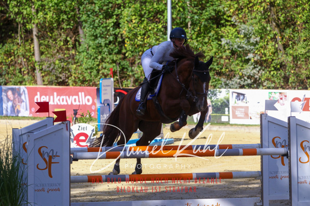 DKP43444 | Turniersportfotografie; Pferdefotografie; Dressurfotografie