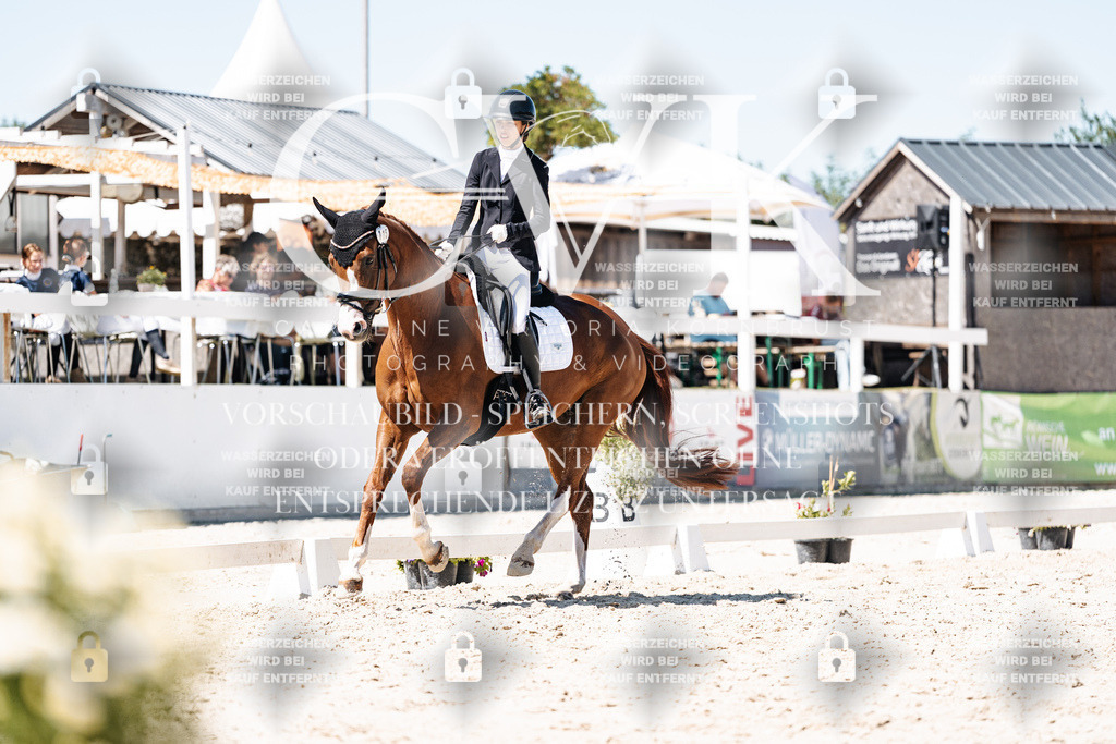 CK900510 | Turnierfotografie Pferdefotografie Trier Rheinland-Pfalz Pferdesport Reitsport Tierfotografie Sportfotografie Pferdevideo Pferdevideografie Equestrianvideography equestrianphotography  - Realisiert mit Pictrs.com