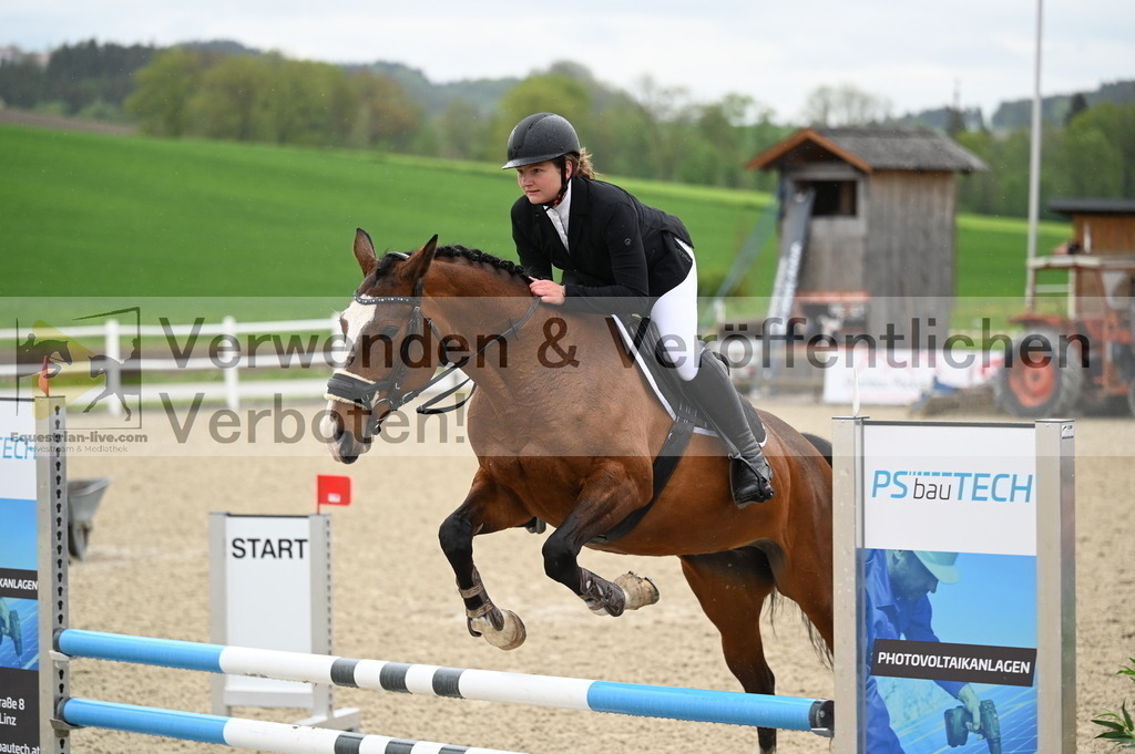DSC_0033 | equestrian-live-com