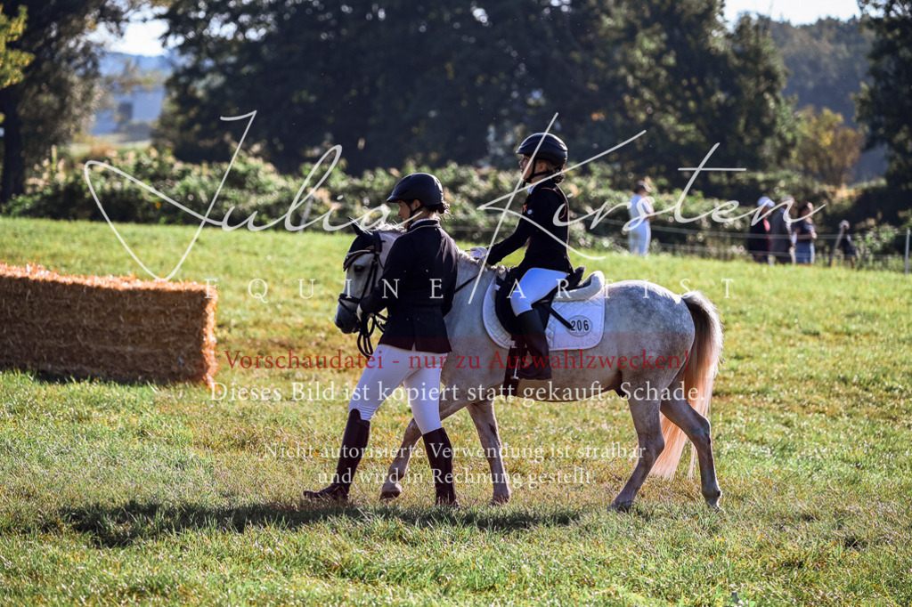 DSC_0401 | Pferde- und Turnierfotografie in Westsachsen. Pferdeportraits, Auftragszeichnungen und intuitive Kunst.