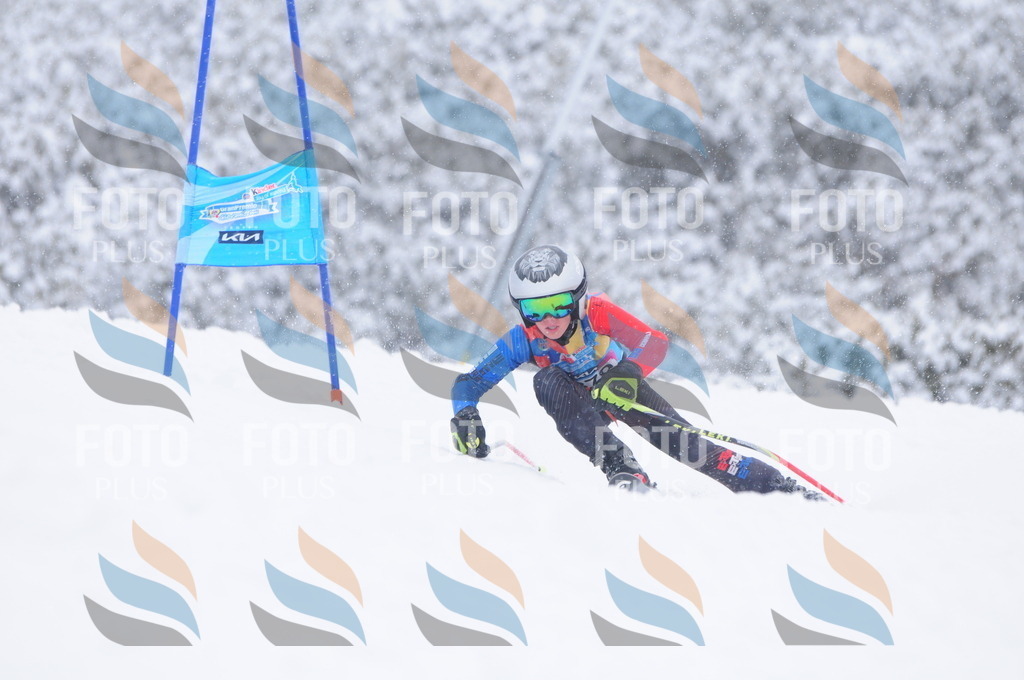 C4031 | holidayphoto