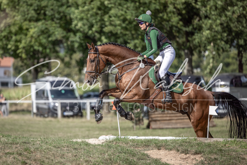 20250907-_3LI9908 | Tierfotografie Pferde, Hunde, Katzen, Haustiere.
Turnierfotografie Reitturniere, Reiten, Springreiten, Dressur in Hanau, dem Main-Kinzig-Kreis und dem Rhein-Main- Gebiet um Frankfurt