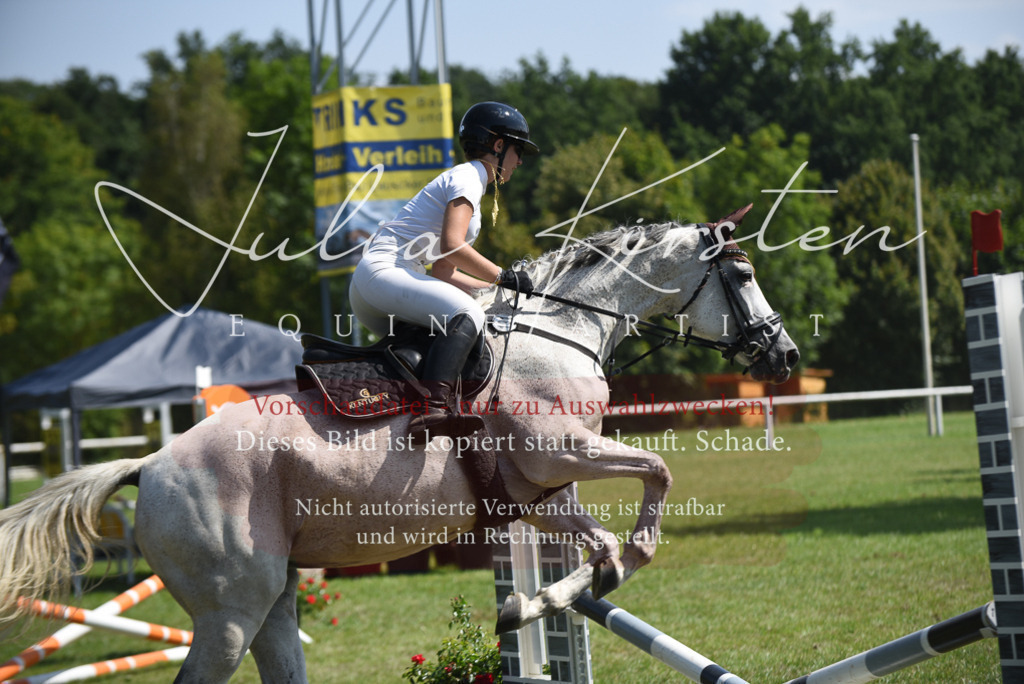 DSC_0182 | Pferde- und Turnierfotografie in Westsachsen. Pferdeportraits, Auftragszeichnungen und intuitive Kunst.
