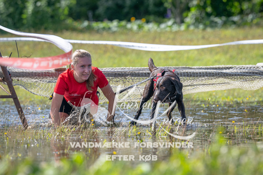 1133_ZZ90023 | kk-dogfotos