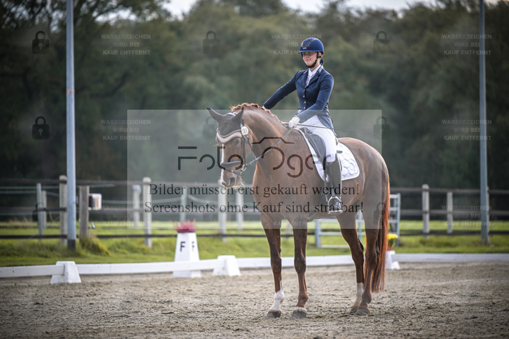 DOS_2861 | Entdecke hochwertige Reitturnierfotos von Foto Oger. Professionell, emotional und authentisch – jetzt Lieblingsmomente im Shop bestellen. - Realisiert mit Pictrs.com