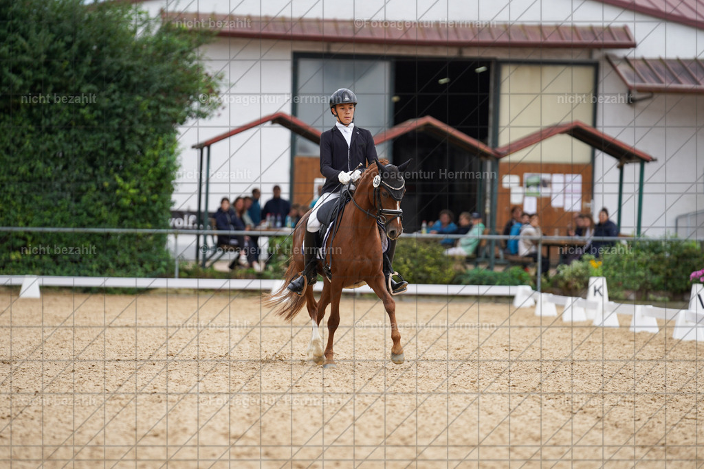 20240825-FAH09882 | Turnierbilder, Reitsportfotos, LAPO, Landesponyturnier, Turnierfotografen Bayern