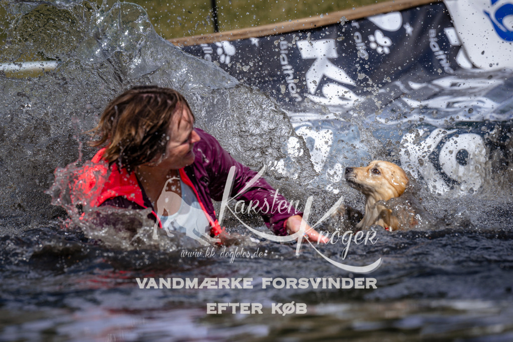 _ZZ925400928 | kk-dogfotos