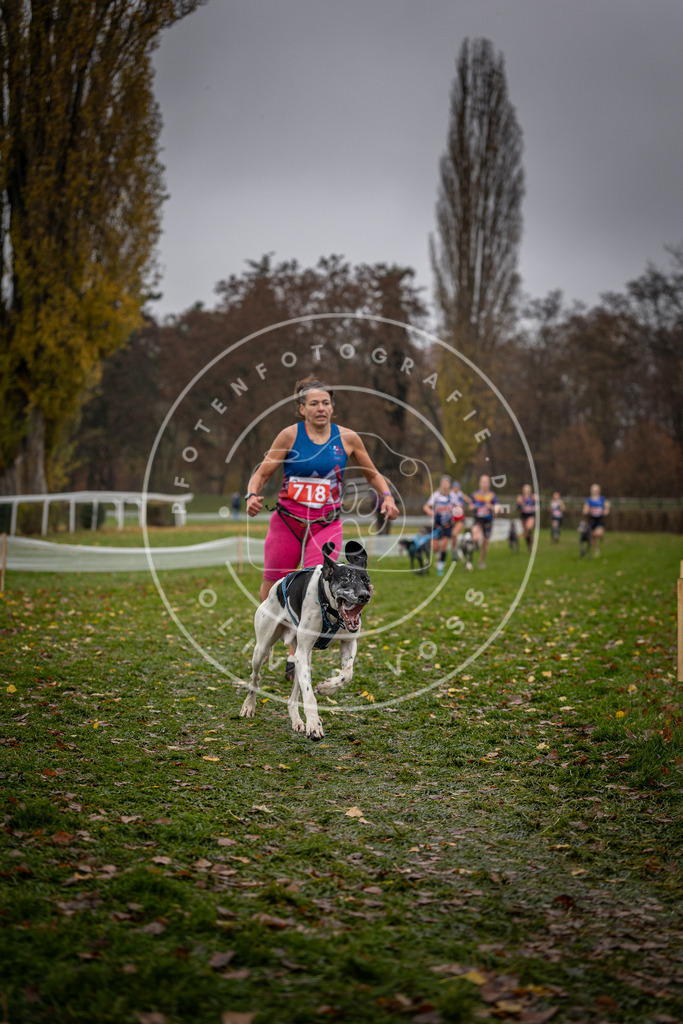 CaniXpix_DV3A9026 | Hundefotografie, Tierfotograf, Pfotenfotografie, Fotoshooting Hund, Hunde Portrait, Hundesport, Hundeportraits, Heideshooting, Hunde, Sportfotograf, Hundefotograf, Turnierhundsport, THS,  - Realisiert mit Pictrs.com