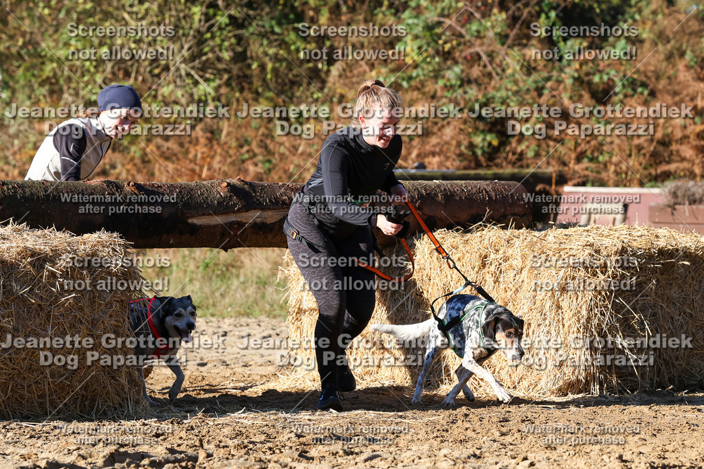 Dog Paparazzi - Strongdog 10-25-1603 | Dog Paparazzi Jeanette Grottendiek Fotografie & Videografie - Realisiert mit Pictrs.com