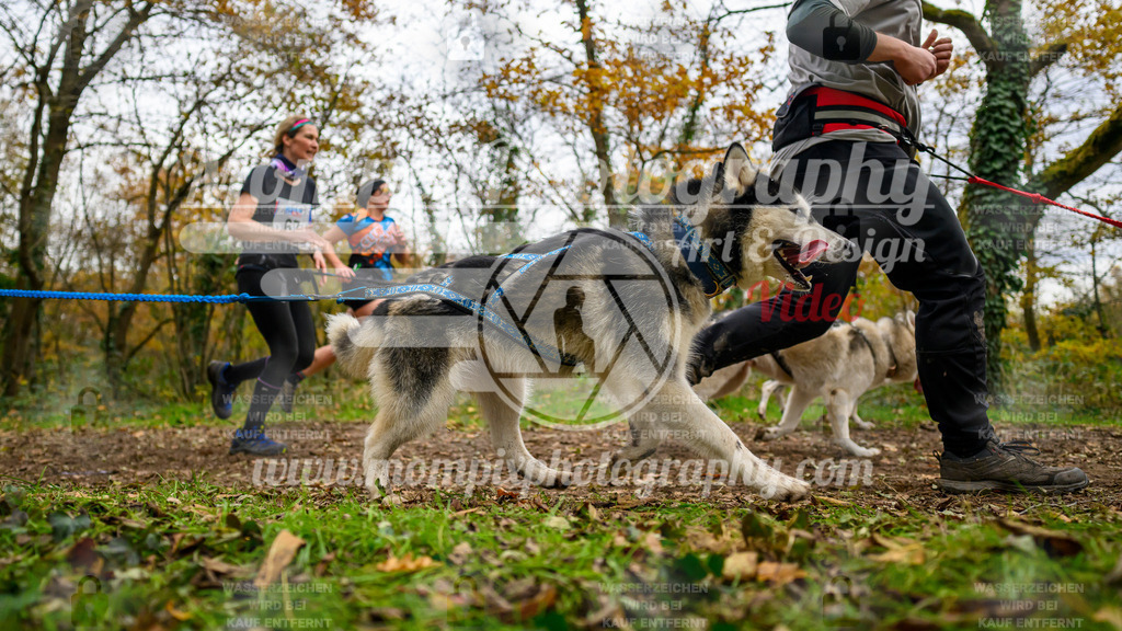 MompixPhotography_Bischwiller24_DI_CoursedeRelais-96 | PayLife