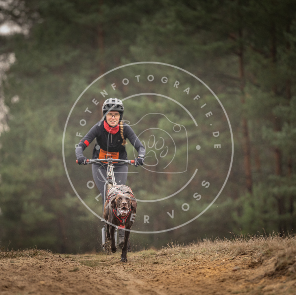 Pfotenfotografie_DV3A4699 | Hundefotografie, Tierfotograf, Pfotenfotografie, Fotoshooting Hund, Hunde Portrait, Hundesport, Hundeportraits, Heideshooting, Hunde, Sportfotograf, Hundefotograf, Turnierhundsport, THS,  - Realisiert mit Pictrs.com