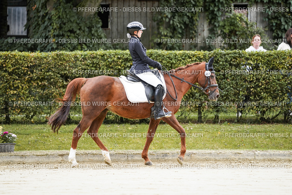 DSC04511 | Pferdegrafie
