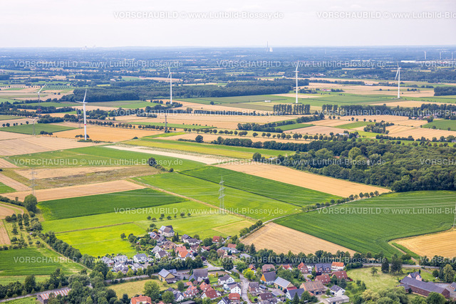 Werl240711684 | Luftbild, Wiesen und Felder mit Baumallee und Windräder bei Budberg, Fernsicht, Budberg, Werl, Soester Börde, Nordrhein-Westfalen, Deutschland