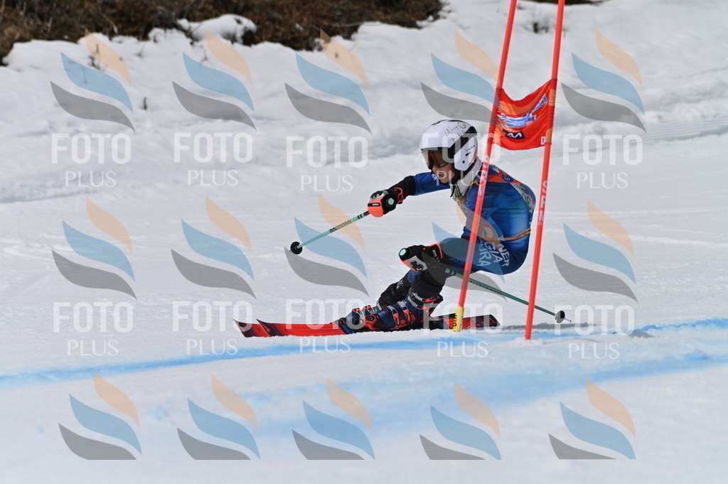 BGV_5982 | holidayphoto