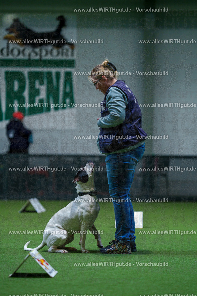 7R503002 | Professionelle Tierfotografie in Mönchengladbach von Daniel Wirth (allesWIRTHgut). Liebevolle & natürliche Bilder von Hunden & Katzen für unvergessliche Erinnerungen.