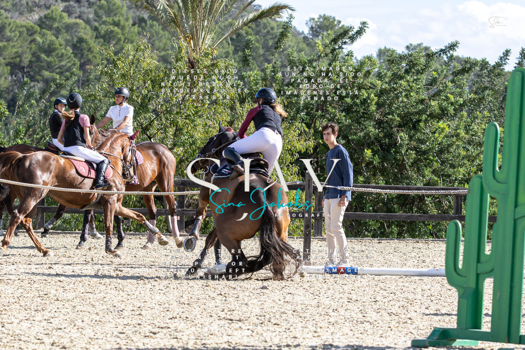 IMG_0357 | s-jay-photography - Realisiert mit Pictrs.com