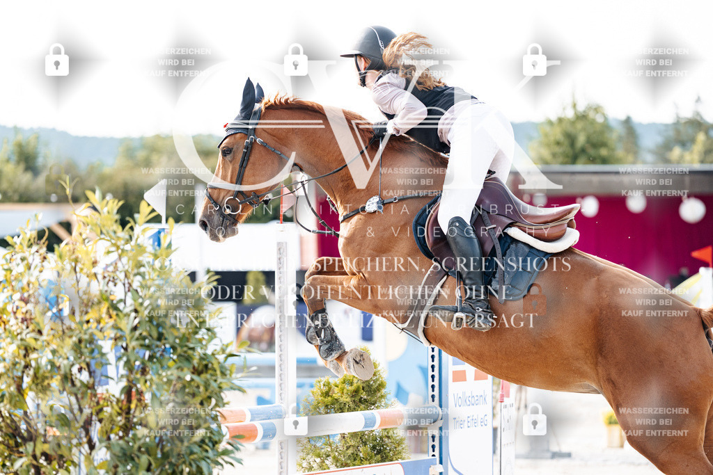 CK906351 | Turnierfotografie Pferdefotografie Trier Rheinland-Pfalz Pferdesport Reitsport Tierfotografie Sportfotografie Pferdevideo Pferdevideografie Equestrianvideography equestrianphotography  - Realisiert mit Pictrs.com