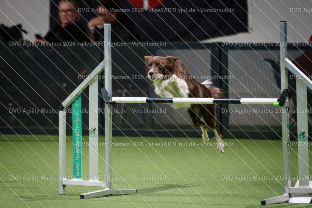 allesWIRTHgut_Tierfotografie-DVG_Agility_Masters_2026-16_59-7R509142 | Professionelle Tierfotografie in Mönchengladbach von Daniel Wirth (allesWIRTHgut). Liebevolle & natürliche Bilder von Hunden & Katzen für unvergessliche Erinnerungen.