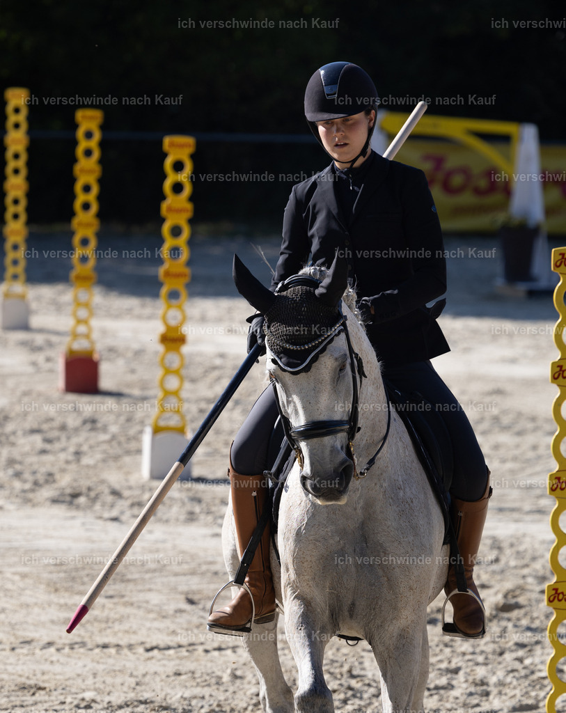 WS_StilTail_68_KerstinBernhardt-6 | working equitationturnier fotograf videograf stoibphotography marixx film working equitation deutschland reitsport turnierfotografie eventfotografie equestrian events