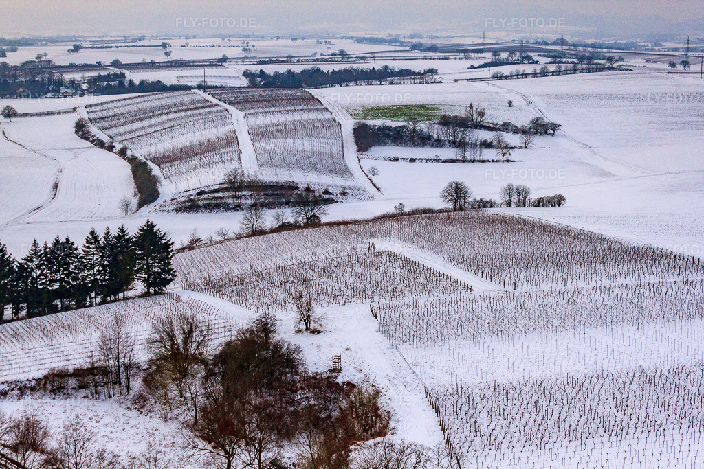 Luftbild: Winter-Wingert in Freckenfeld im Bundesland Rheinland-Pfalz in Deutschland. Foto: IMG_23620.jpg vom 16.01.2010 durch Werner Riehm/FLY-FOTO.de