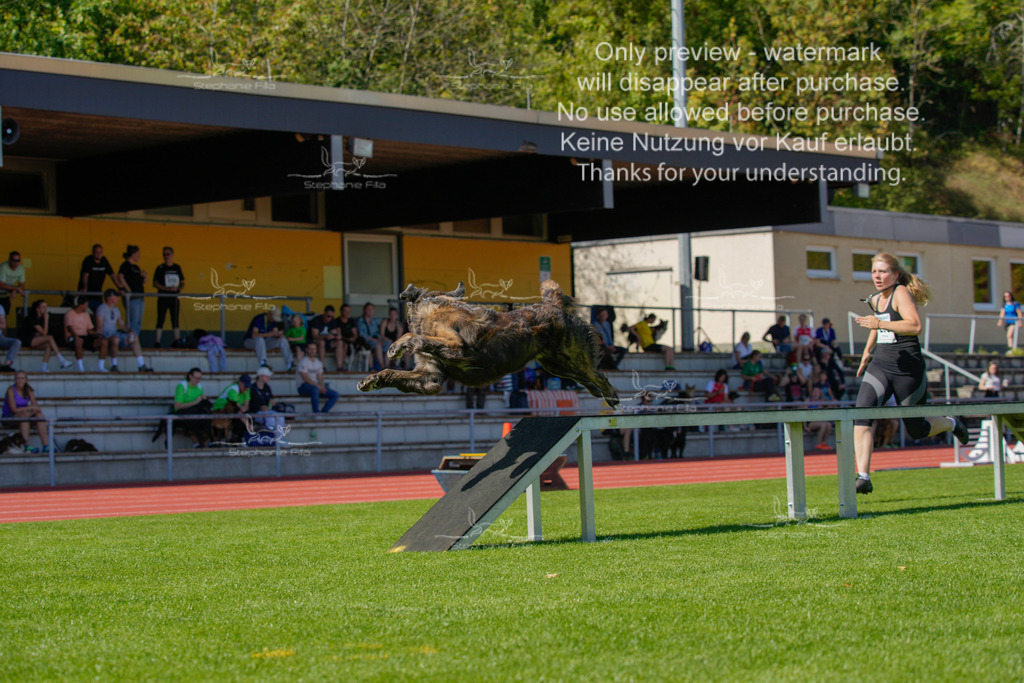 Sonntag_VK Hindernis (561 von 671) | stephaniefillaphotographie - Realisiert mit Pictrs.com