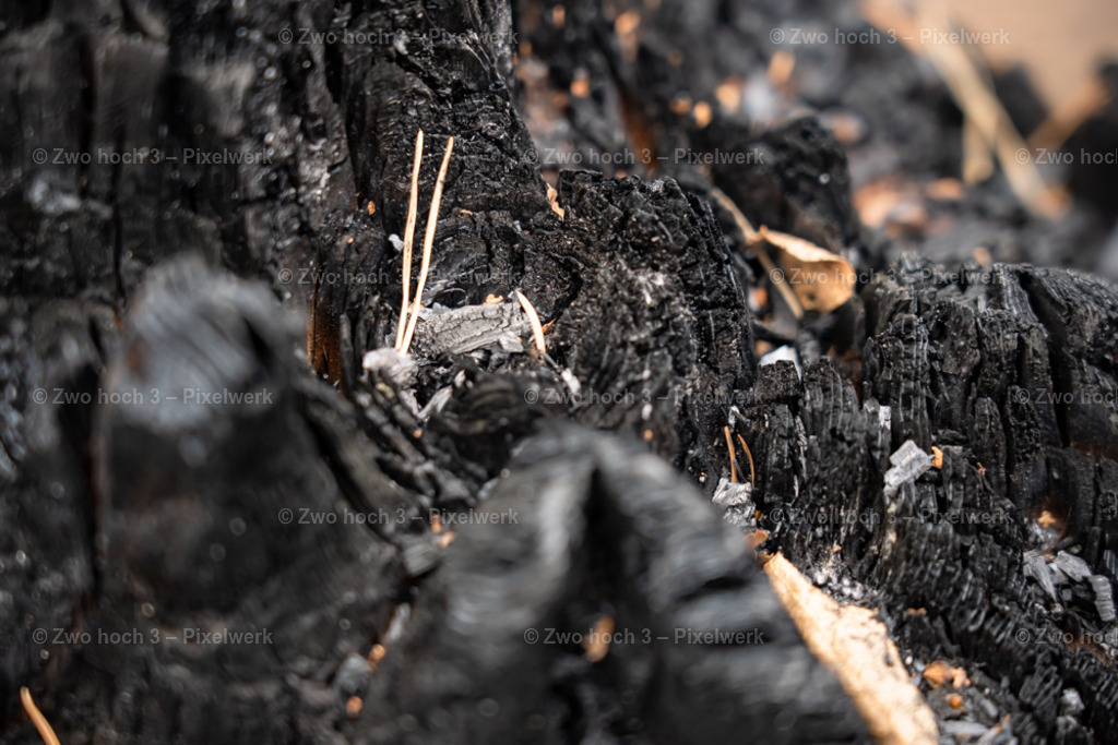 Obere_Affensteinpromenade_Siegfried_Bergfried_Waldbrand_Struktur | 2022-09-02_Waldbrandgebiete_2 - Realisiert mit Pictrs.com