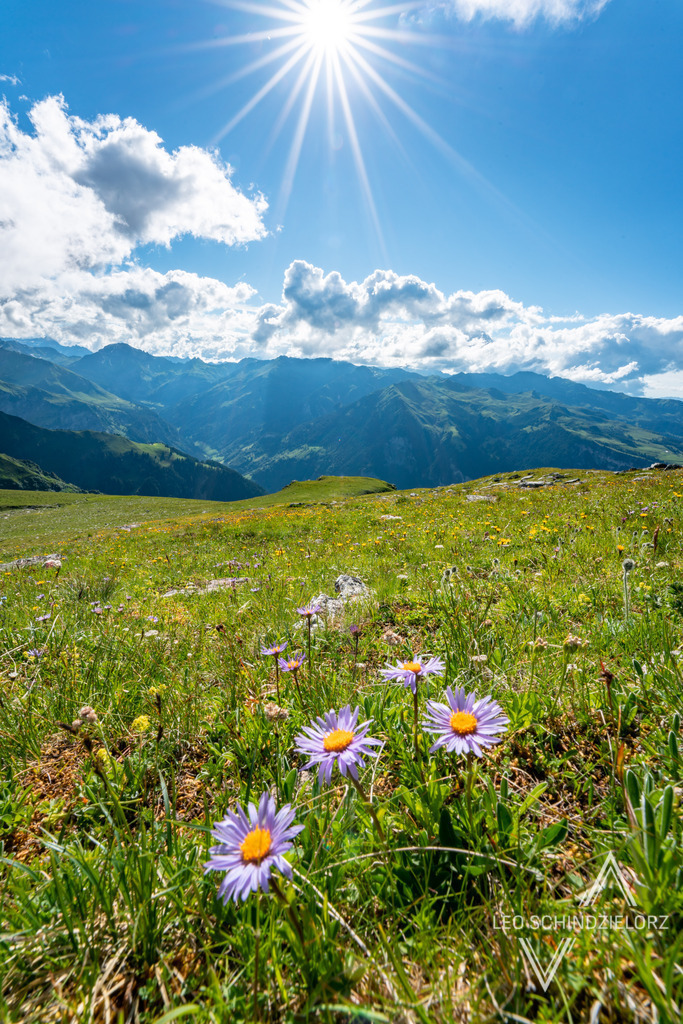 Fotografie_Leo_Schindzielorz_CH_Sommer_Pizol_20220625_A7R06452_org | Atmosphärische Landschaftsbilder & Drohnenaufnahmen aus dem Allgäu, Tirol, Südtirol & der Schweiz – ideal für Leinwanddrucke & zur stilvollen Raumgestaltung. - Realisiert mit Pictrs.com
