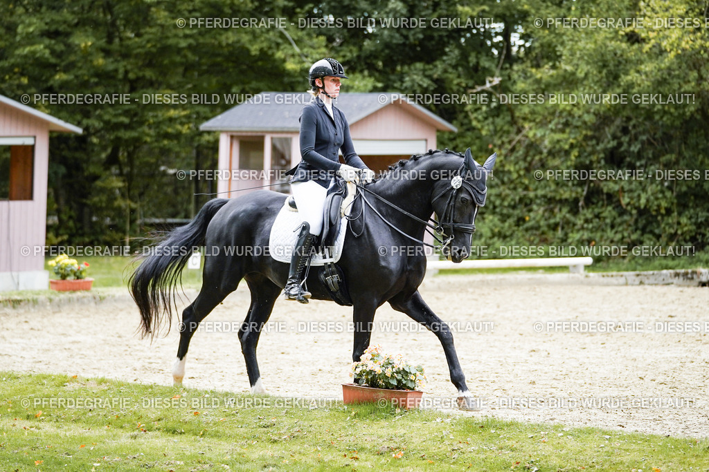 DSC02353 | Pferdegrafie