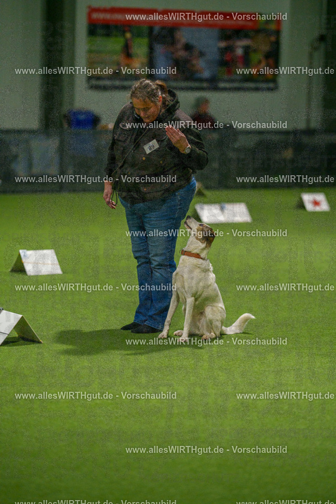 7R508644 | Professionelle Tierfotografie in Mönchengladbach von Daniel Wirth (allesWIRTHgut). Liebevolle & natürliche Bilder von Hunden & Katzen für unvergessliche Erinnerungen.