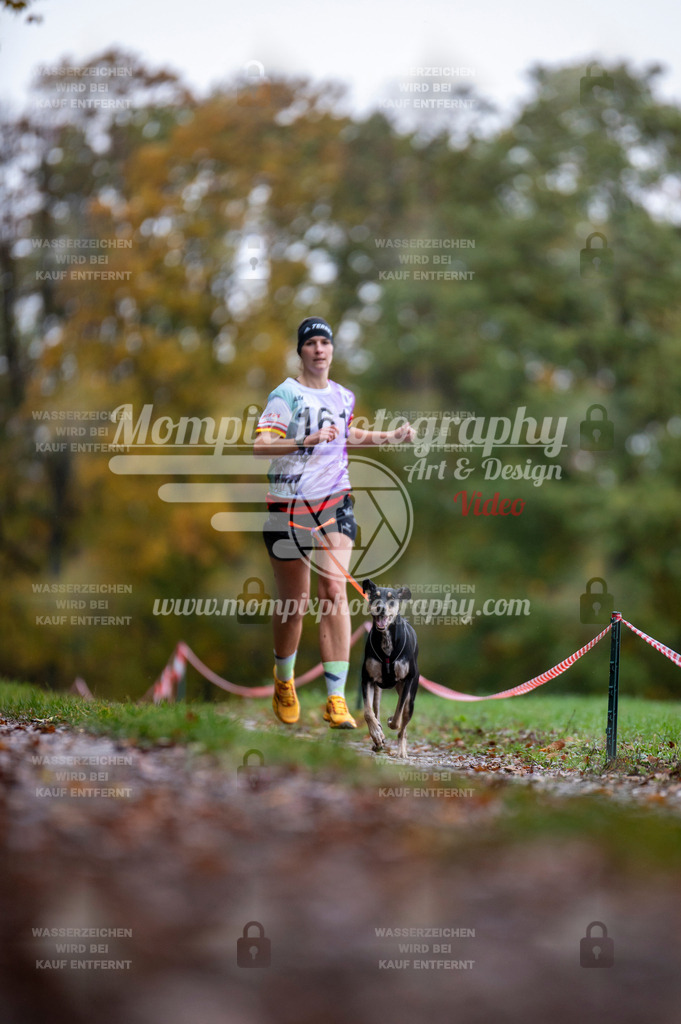 DBT_DAKM_SA_4_11_2023_Canicross-11 | PayLife