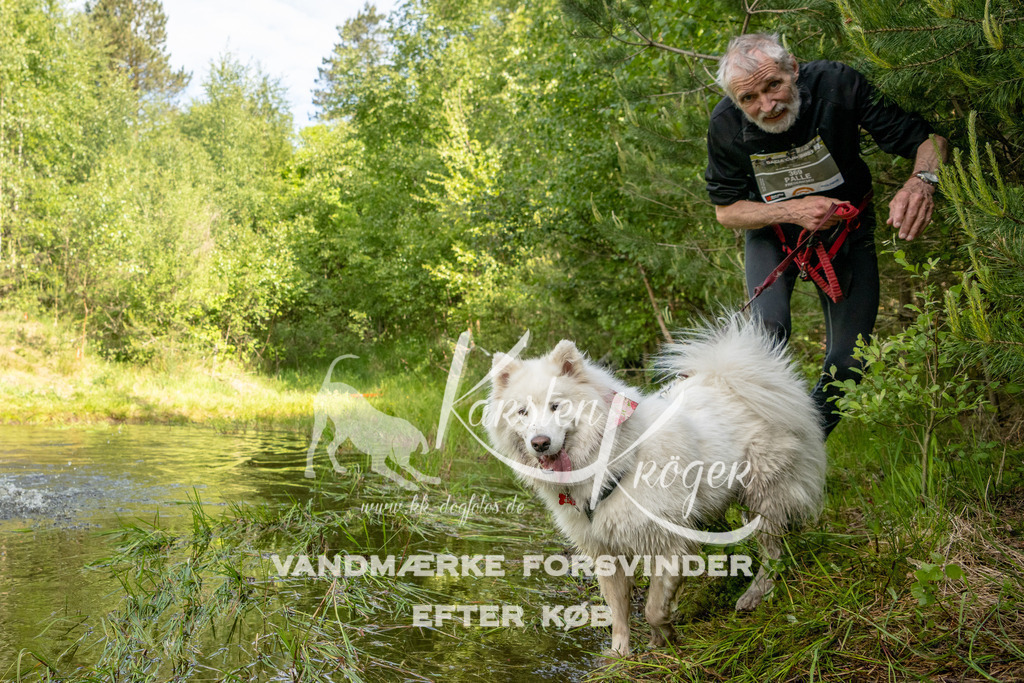 0944DKK9_ZZ92910 | kk-dogfotos