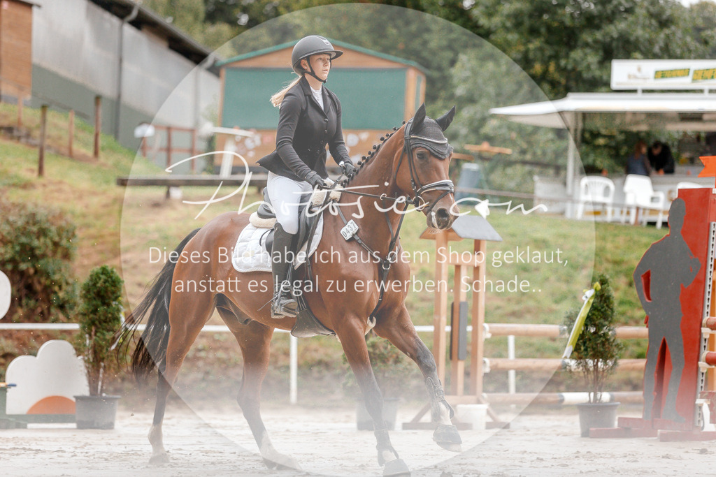 3I6A5618 | Stimmungsvolle Portraits und Reitsportfotografie im Ruhrgebiet und im Münsterland.

Pferdefotografie, Hundefotografie, Tierfotografie, Reportagen, Portraits von Tier und Mensch, Turnierfotografie in Bochum, Recklinghausen, Marl, Haltern am See, Dülmen.. - Realisiert mit Pictrs.com
