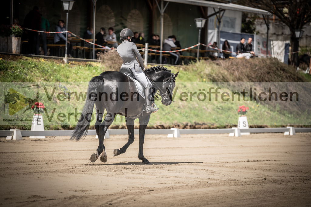 DSC_1383 | equestrian-live-com