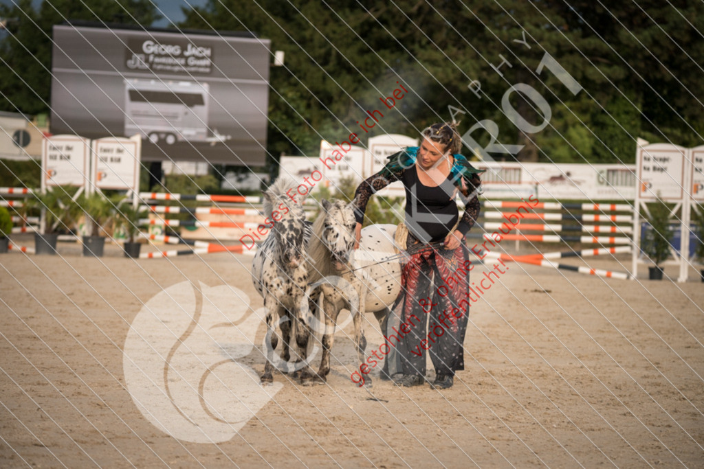 DSC_9993 | Sport-, Event- und Tierfotos in Profiqualität. Einfach auswählen, bestellen und herunterladen. Dein Moment – perfekt festgehalten.