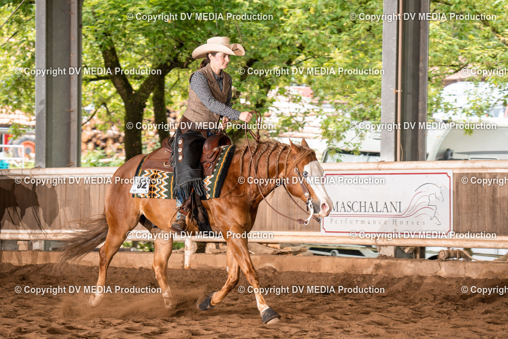 Erbach Tag 4-709 | dv-media-shop - Realisiert mit Pictrs.com