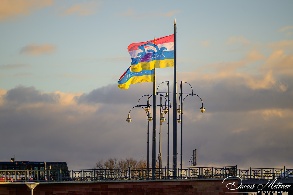 Die Theodor-Heuss-Brücke | Die Theodor-Heuss-Brücke in Mainz