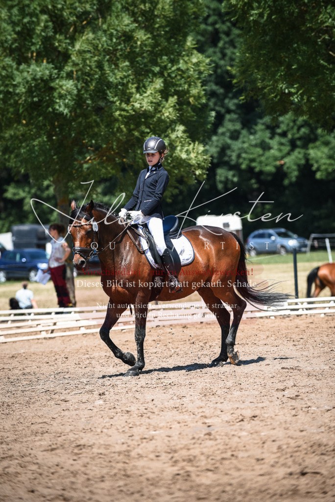 DSC_2858 | Pferde- und Turnierfotografie in Westsachsen. Pferdeportraits, Auftragszeichnungen und intuitive Kunst.