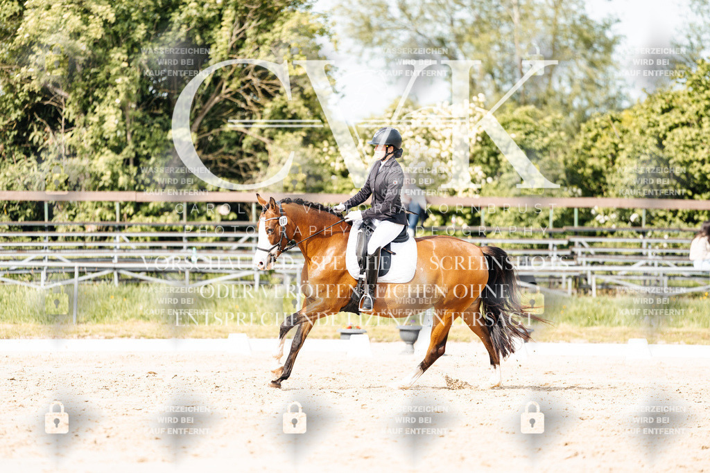 CK900569 | Turnierfotografie Pferdefotografie Trier Rheinland-Pfalz Pferdesport Reitsport Tierfotografie Sportfotografie Pferdevideo Pferdevideografie Equestrianvideography equestrianphotography  - Realisiert mit Pictrs.com