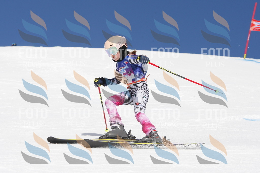 _W1G1278 | holidayphoto