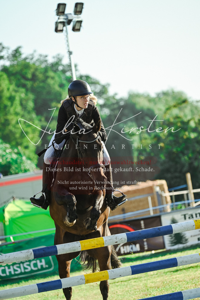 DSC_4216 | Pferde- und Turnierfotografie in Westsachsen. Pferdeportraits, Auftragszeichnungen und intuitive Kunst.